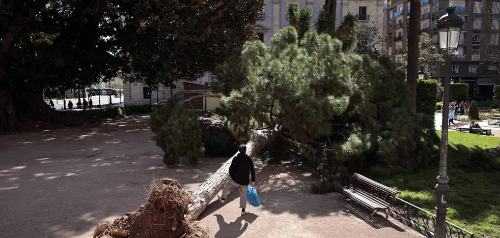 Lluvia, frío y nieve en Valentia, Alicante y Castellón Aemet anuncia un cambio significativo en la previsión meteorológica y el regreso de las precipitaciones a la Comunidad Valentia