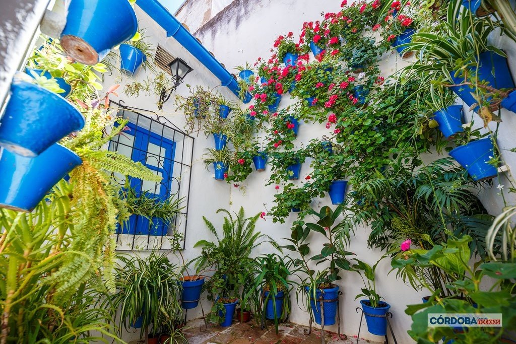 Variedad de patios de la provincia, recogidos en una guía
