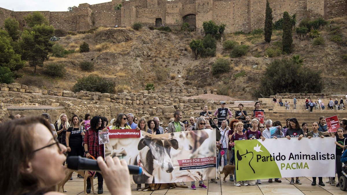 Animalistas protestan en Málaga para que los perros de caza no queden excluidos de la ley de bienestar animal