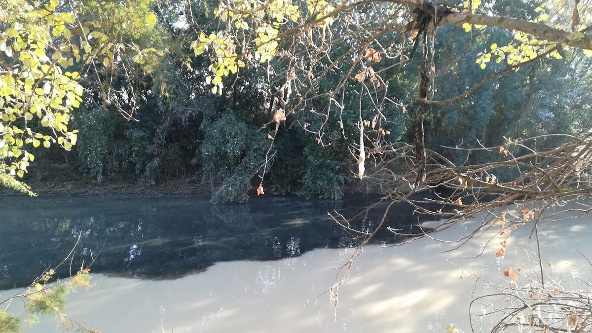 Ecologistas en Acción denuncia fugas en el río Genil