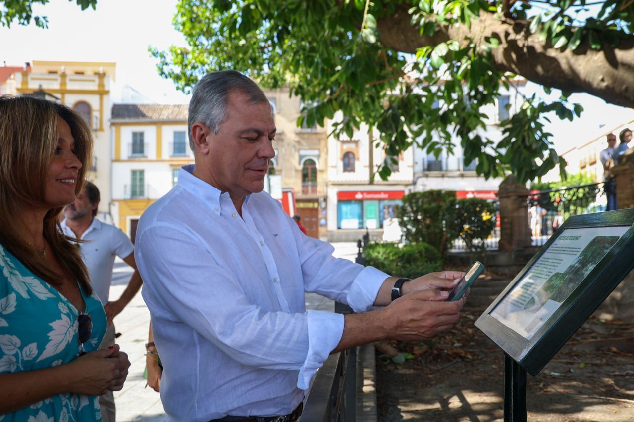 El Ayuntamiento de Sevilla informa y pone en valor los árboles singulares de Sevilla - Noticias
