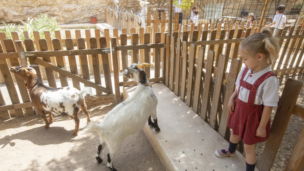 Aulas de Valencia entre pinos, huertos y cabras