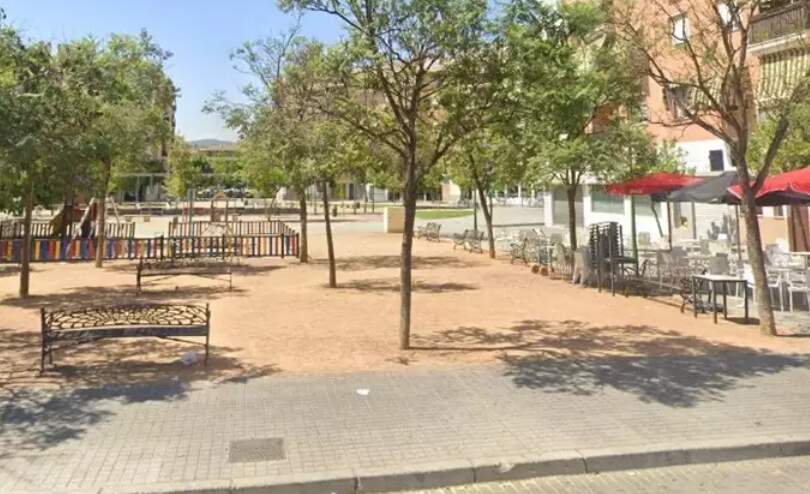El Arenal pide medidas "inmediatas" tras la reyerta entre gamberros de Córdoba y Almería