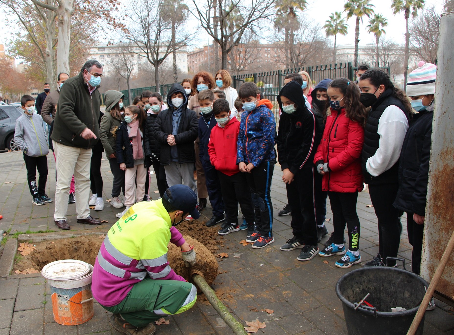 El Ayuntamiento continúa con la campaña de plantación 2021-2022 en el Distrito Este-Alcosa-Torreblanca, donde están previstos 533 nuevos árboles y arbustos