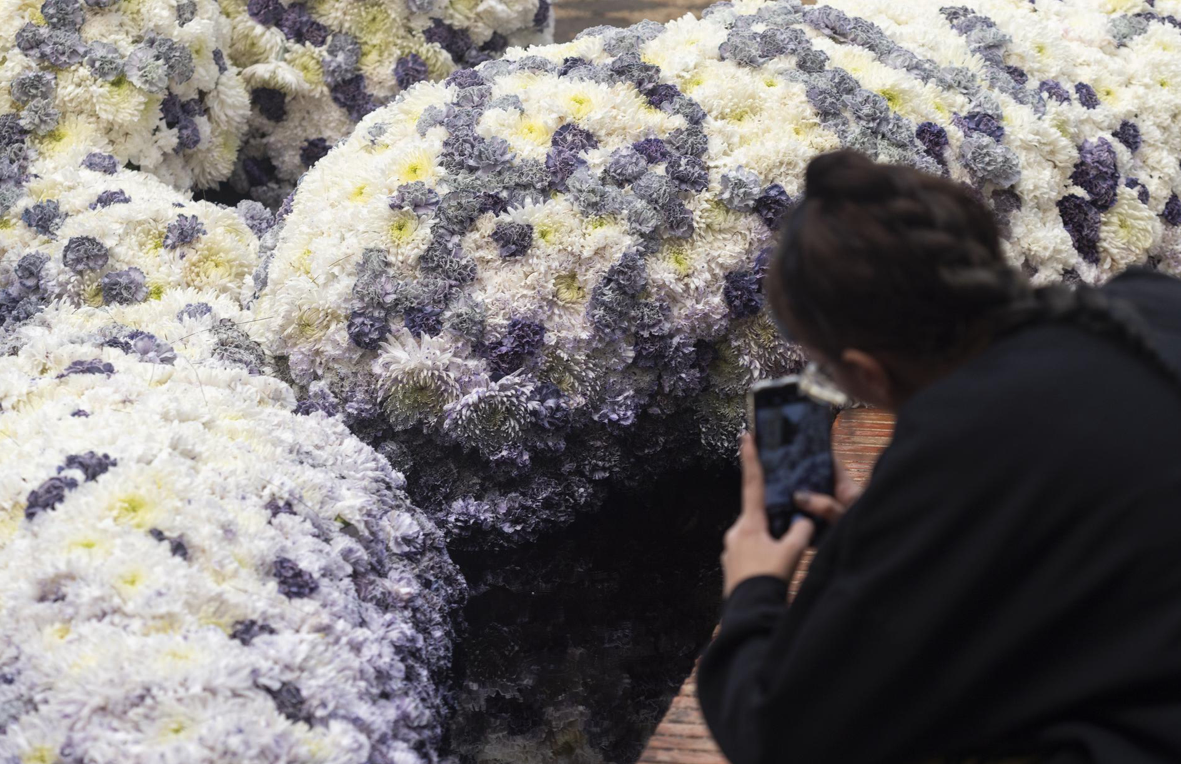 FLORA posiciona a Córdoba en la escena nacional e internacional