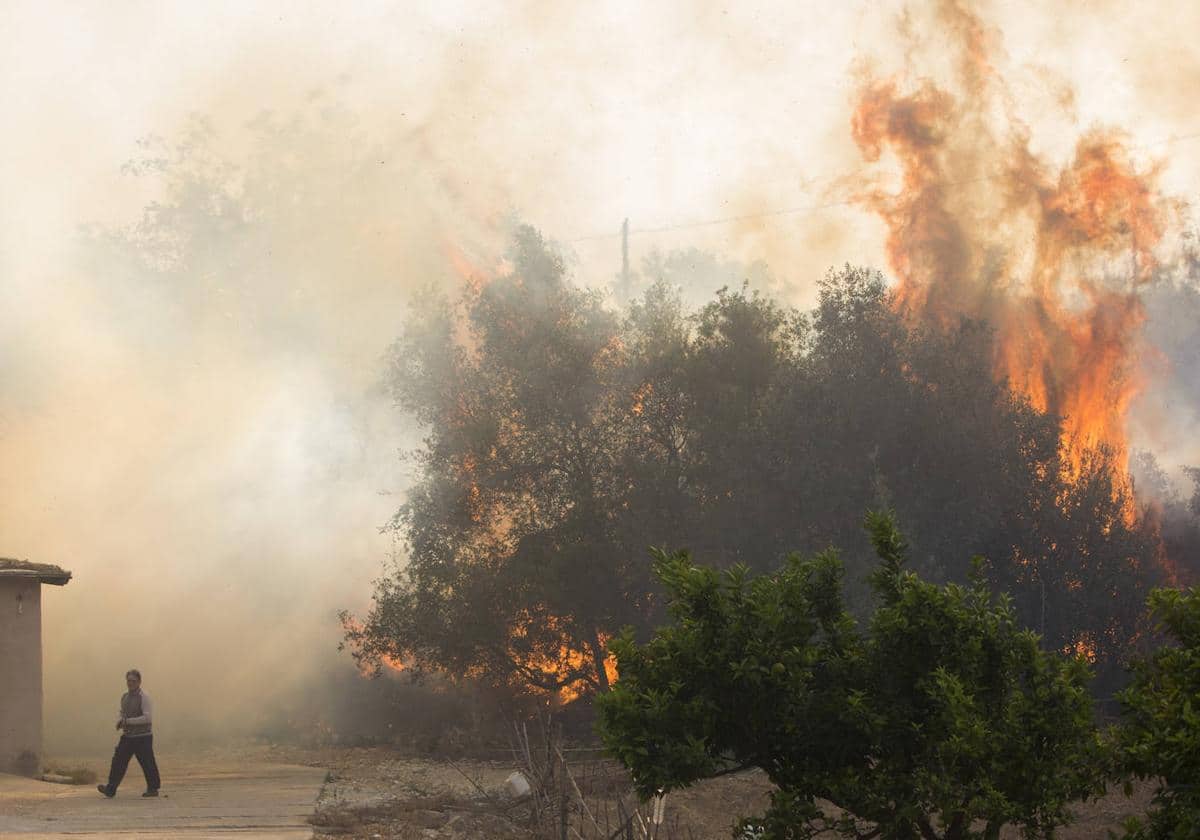 Incendio de última hora en Valencia: actualizaciones y evacuación : El incendio de Montitxelvo sigue fuera de control y deja dos bomberos heridos durante la noche