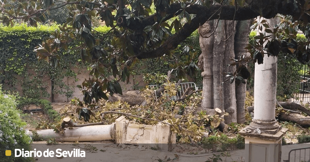 La tormenta Bernard derriba una columna renacentista en el Real Alcázar de Sevilla