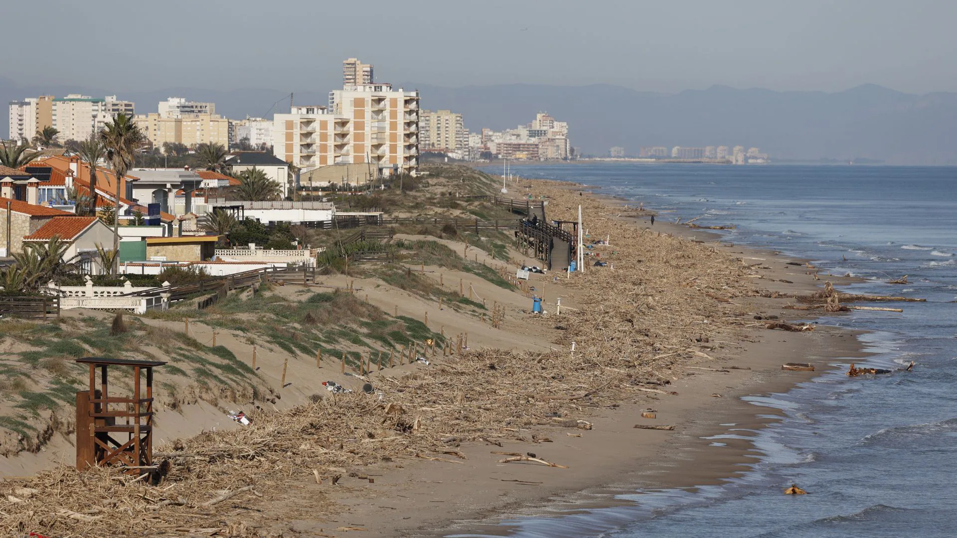 Troncos y cañas, varados en las playas al sur de Valencia